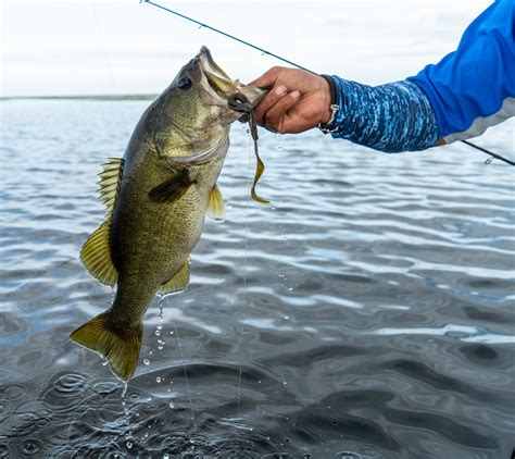 The razorback worm absolutely... - Savage Gear Americas