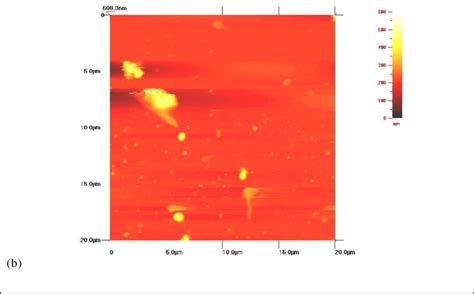 3-dimensional (Figure 3a) and 2-dimensional (Figure 3b) AFM image of ...