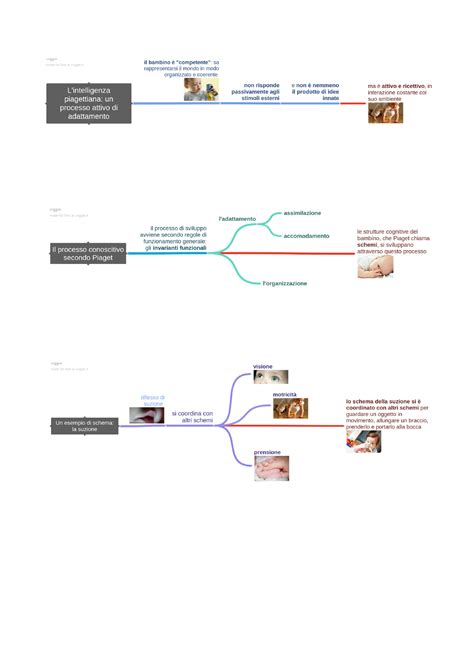 Mappe Concettuali Piaget Pedagogia Generale Studocu