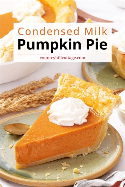 Carnation Condensed Milk Pumpkin Pie Recipe Besto Blog