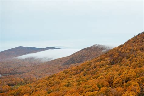 Peak Fall Foliage Elopement in Killington, Vermont — MoHo Photo