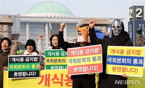 개식용 금지법 통과 환영 네이트 뉴스