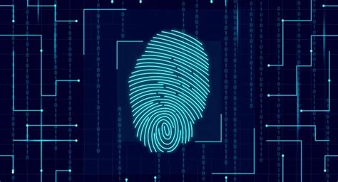 What are the Types of Fingerprinting? | What You Need to Know 