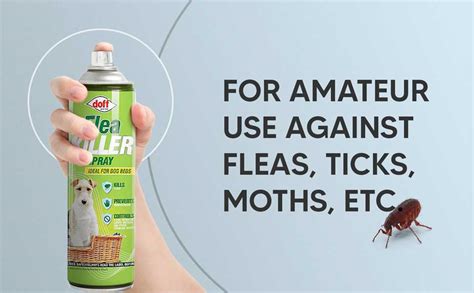 Doff 2 X 200ml Flea Killer Spray Effective Aerosol Flea Control Kills Fleas Tickes And Other