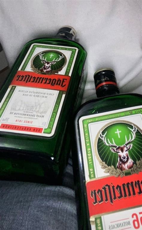 #fakestory #alkol #jager | Alcoholic drinks, Alcohol party, Alcohol bottles
