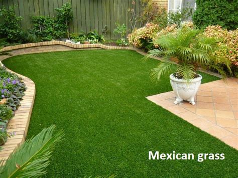 Green Rectangular Mexican Lawn Grass At 12 Square Feet In New Delhi