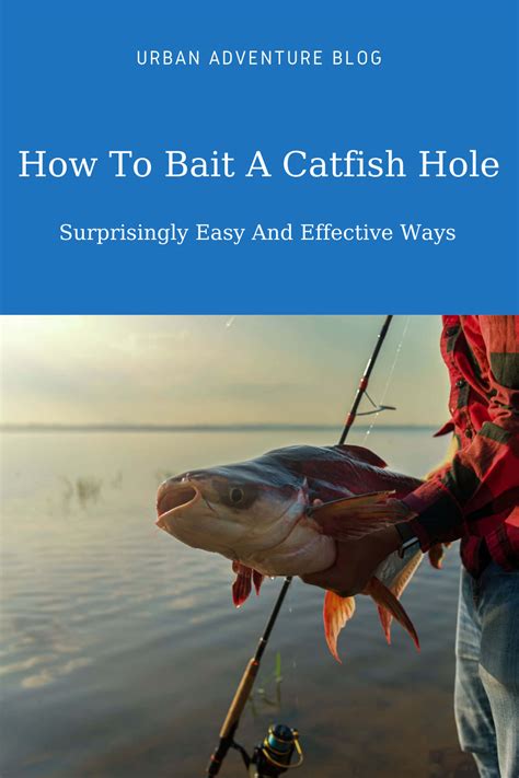 Six Best Techniques For How To Catch Fiddler Crabs Artofit