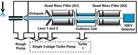 Schematic Diagram Of A Mass Spectrometer