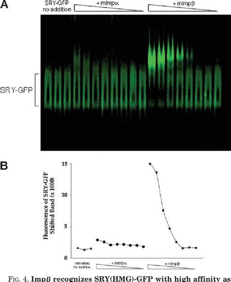 Figure From The C Terminal Nuclear Localization Signal Of The Sex