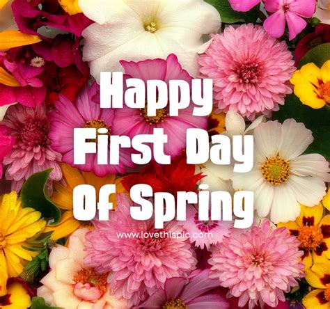 Happy First Day Of Spring Floral Quote Pictures, Photos, and Images for ...