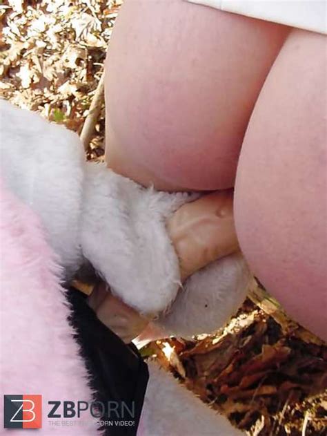 Inexperienced Bunny Sensational Zb Porn