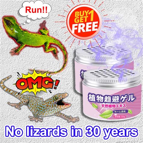 Buy 1 Get 1 Free Lizard Repellent 240g Gecko Repellent Safe Plant