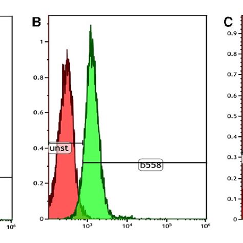 Dihydrorhodamine Dhr Test Using Multiple Stimulants A Healthy