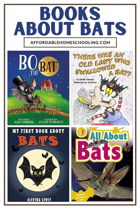 6 Engaging Bat Books For Kids For Under 5 Each