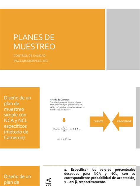 Planes De Muestreopdf Muestreo Estadísticas Ciencia Y Matemática