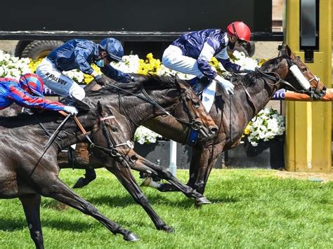 Has Racing Victoria Endangered The Evolution Of The Melbourne Cup?