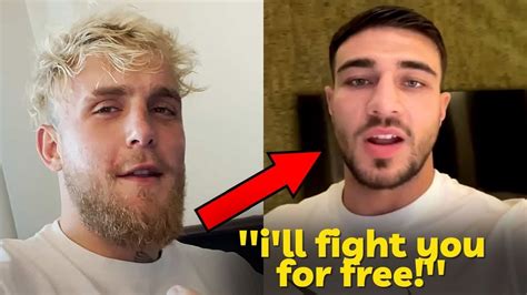 Tommy Fury Claps Back At Jake Paul Offers To Fight For Free Youtube