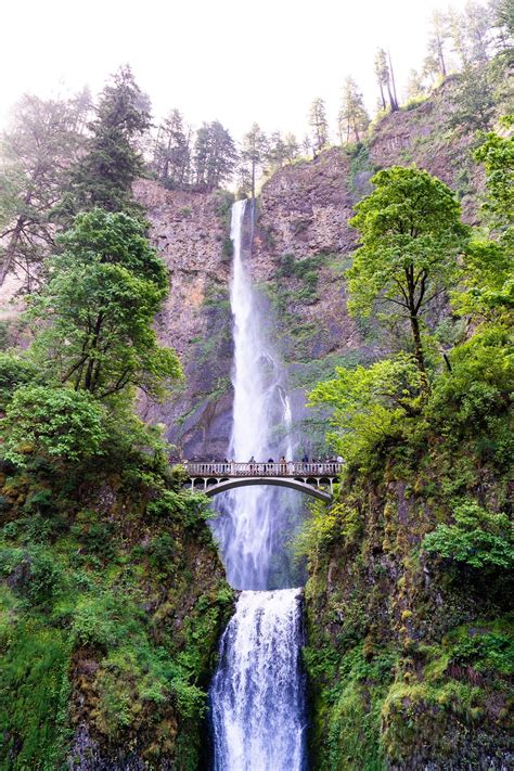 RV Guide: Mt Hood National Forest - THOR Industries