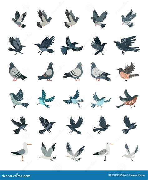 City Birds Collection Birds In Different Poses Stock Vector