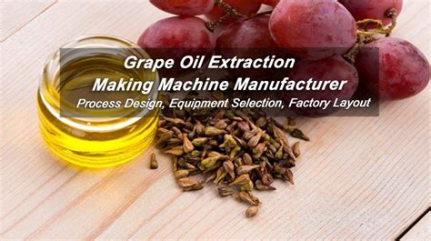 Buy Factory Price Grape Seed Oil Extraction Making Equipment