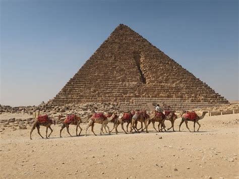 Fotos Von All Inclusive Tagestour Zu Den Pyramiden Von Gizeh Sakkara