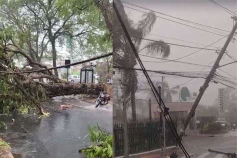 Chuva Forte Causa Estragos E Derruba árvores E Postes Em Lavras Veja