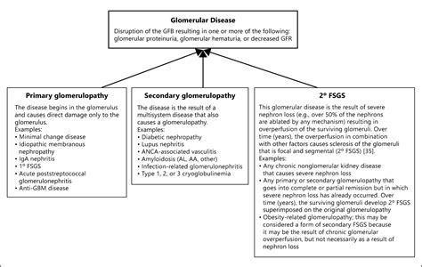 Figure From Differential Diagnosis Of Glomerular Disease A