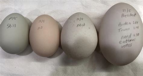 We put little messages on the eggs with the date they were laid. Like ...