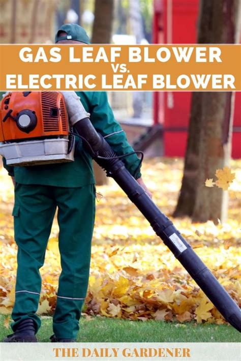 Gas Vs Electric Leaf Blower Which Is Right For You