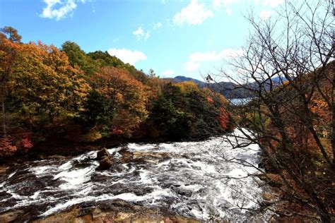 Foto Gratis Paesaggio Acqua Natura Albero Fiume Foresta Montagna