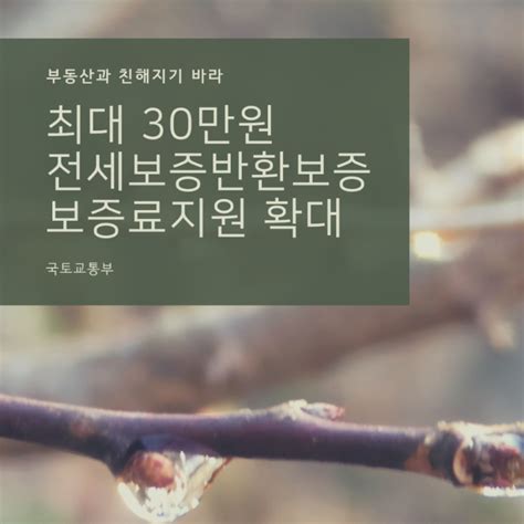 전세보증금반환보증 보증료 모든 연령으로 지원 확대합니다부산시 기준 네이버 블로그