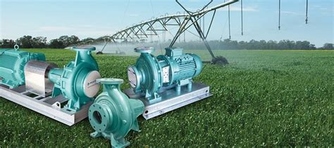 5 Factors To Consider When Choosing Irrigation Pump Pumps Africa