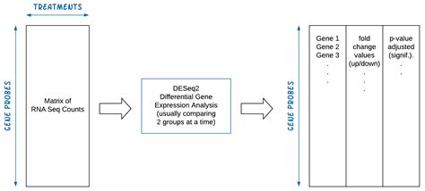 Rna Sequence Analysis Bioinformatics Workbook