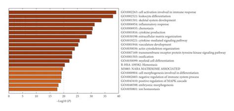 A B Heat Map Of Enriched Terms Across Input Gene Lists Colored By P