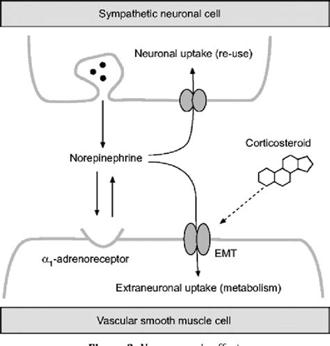 Figure From Gr Upsm Mechanisms Of Action Of Glucocorticoids In