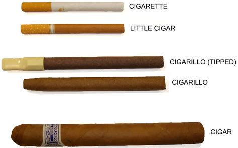 Cigarettes And Cigars | BNG Hotel Management Institute