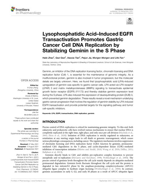 PDF Lysophosphatidic AcidInduced EGFR Transactivation Promotes