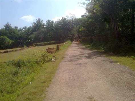 Agricultural Land 36 Guntha For Sale In Ankola Uttara Kannada REI274402