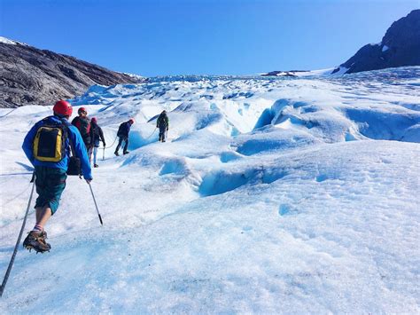 Hiking Svartisen Glacier: An Unforgettable Adventure - The Travelling Sloth