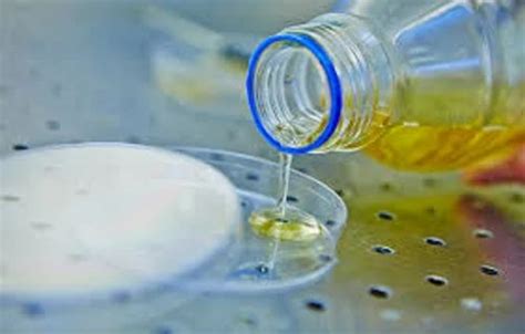 Laboratory Microbiological Testing Service At 1 Sample In Mumbai