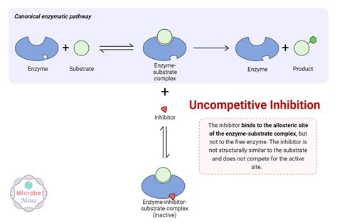 Allosteric Inhibition Mechanism Cooperativity Examples