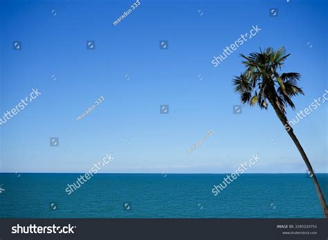 1 235 797 Sky Green Ocean Images Stock Photos Vectors Shutterstock