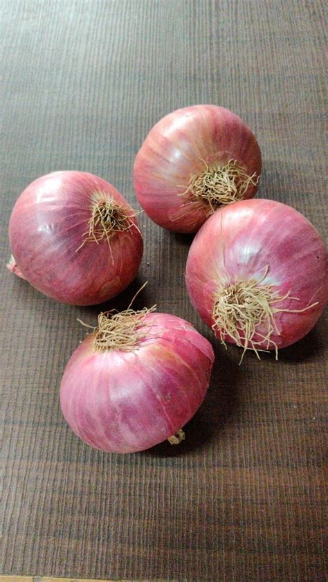 A Grade Maharashtra Garva Onion Onion Size Available Large Packaging