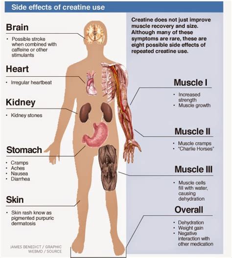 How do you find your body fat, creatine side effects liver, top whey ...