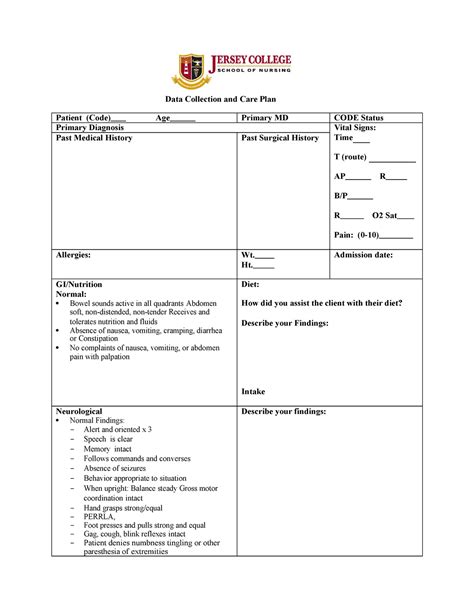 Care Plan Template Data Collection And Care Plan Patient C O D E