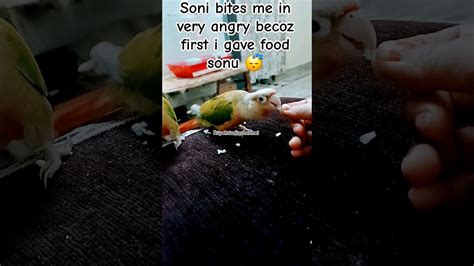 Soni Bites Me In Very Angry Becoz First I Gave Food Sonu