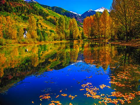 Autumn Trees Reflected In The Lake Fondo De Pantalla Hd Fondo De