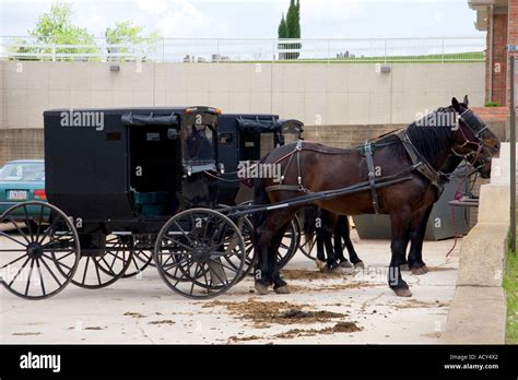 Amish horse and buggy in a parking lot at Berlin, Ohio Stock Photo - Alamy