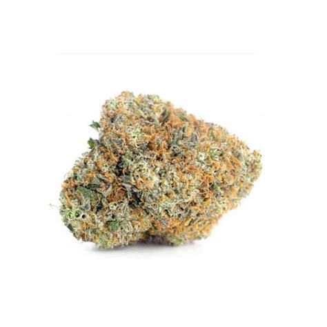 Blueberry Marijuana Strain - A Pungent Berry Blast