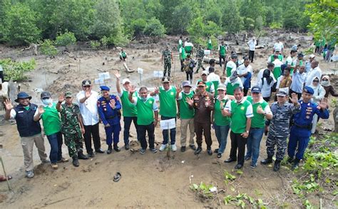 Harita Nickel Dukung Upaya Rehabilitasi Hutan Mangrove Di Halmahera Selatan